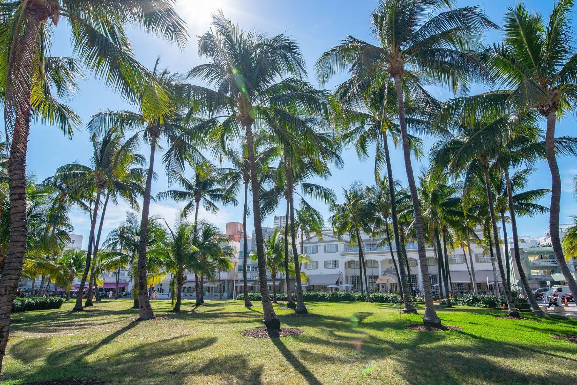 Chic Large Studio Apt Near Ocean Drive South Beach Miami Beach Zewnętrze zdjęcie
